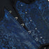 Renaissance Brocade Flower Cupless Waist Trainer Underbust Corset