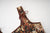Women Vintage Floral Camisole Flower Embroidery Pattern Overbust Corset