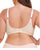 Women's Elements of Bliss Cushioned Lightly Lined Wireless Plus Size Bra
